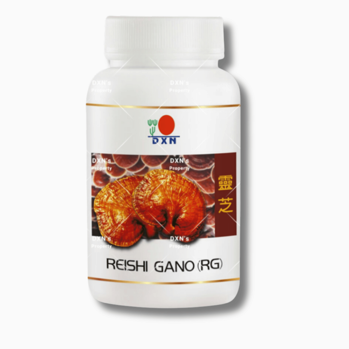 Reishi-Gano-RG-360-1.png